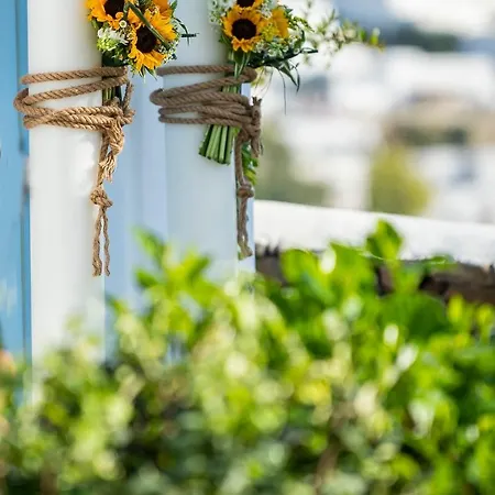 Pyrgaki Hotel Parikia (Paros)
